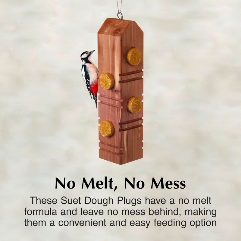 CS C&S Peanut Delight No Melt Suet Dough Plugs, Suet Plugs for Wild Birds, 12 Oz, 4 Count - Image 4